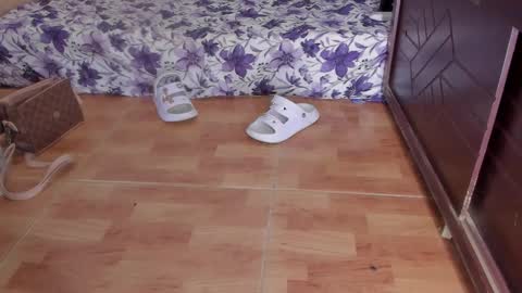 whises lits        online show from 10/23/25, 02:16