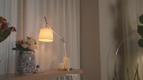 Snapshot of emma_lu1 chatting on 10/09/25, 02:48 emma_lu1 online show from 10/09/25, 02:48