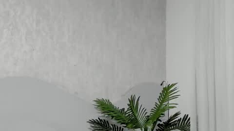 Emma Morgann online show from 02/25/26, 11:20