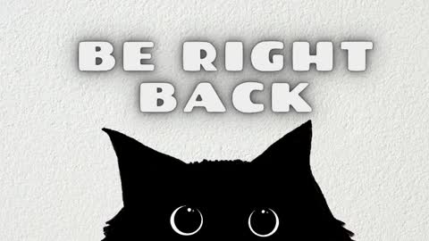   online show from 04/08/26, 11:32