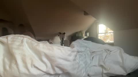 EmmaAngel online show from 11/16/25, 08:58