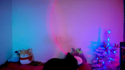 RH-NEGATIVE GREEN-EYED BAELIEN online show from 03/31/26, 08:31