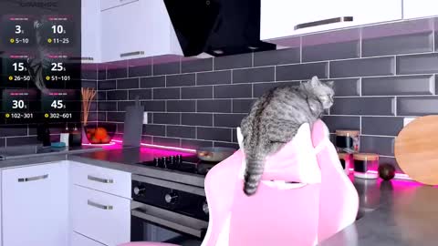 Shaiya online show from 02/28/25, 12:10