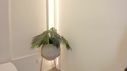 Emmiily online show from 01/19/25, 02:04