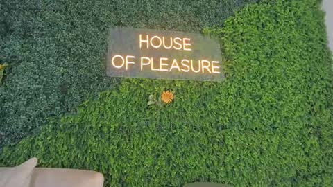 Emmiily online show from 02/22/25, 11:03