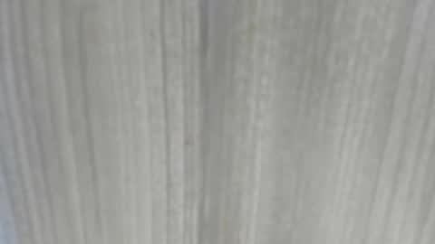 emycarver09 online show from 02/01/26, 11:31