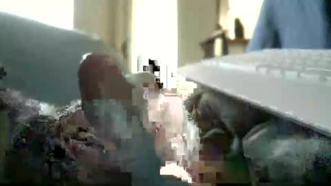 Snapshot of encormoi chatting on 11/11/25, 08:47 encormoi online show from 11/11/25, 08:47