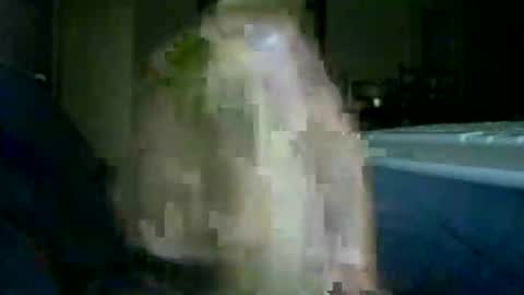 Snapshot of encormoi chatting on 11/14/25, 08:46 encormoi online show from 11/14/25, 08:46