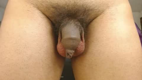 Engiel phoenix instagram engiel 13 online show from 01/31/25, 11:46