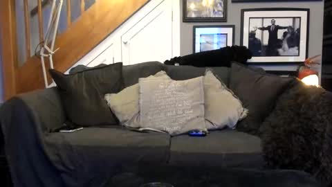 englishcouple81 online show from 03/13/26, 11:33