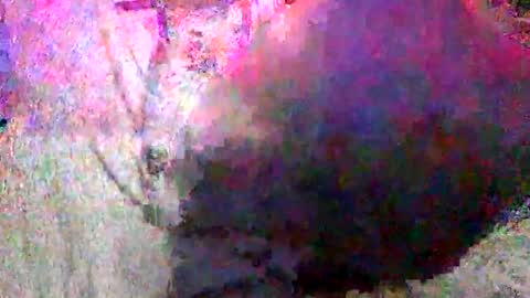 Snapshot of enjooythenut chatting on 01/18/25, 02:33 Batman online show from 01/18/25, 02:33