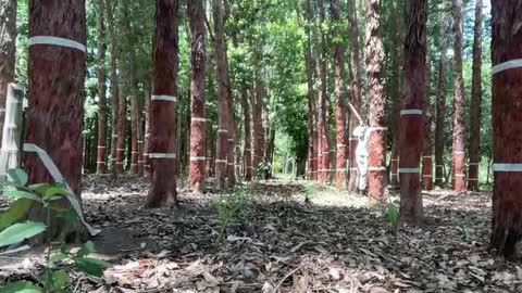 Luke online show from 11/26/25, 01:45