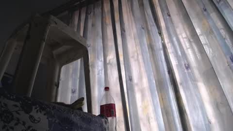 Eolicasextwo online show from 02/18/25, 05:21