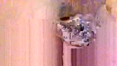 take it easy online show from 01/13/26, 12:54