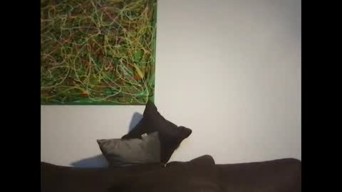 Snapshot of erik_69_69 chatting on 10/18/25, 05:14 erik_69_69 online show from 10/18/25, 05:14