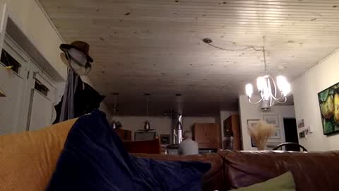 eros online show from 12/13/24, 01:59