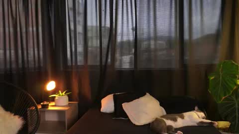 Eros Wild online show from 12/16/25, 09:53