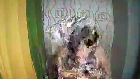 Ervana online show from 02/11/26, 05:07