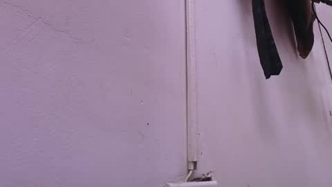 Estrella online show from 02/22/25, 11:57