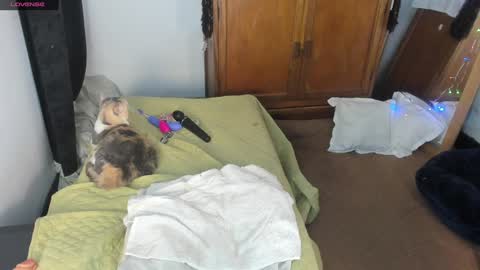 Snapshot of estrellah__ chatting on 01/07/25, 04:50 - E S T R E L L A  M I L F - online show from 01/07/25, 04:50