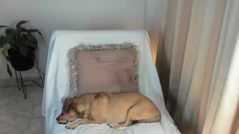 Snapshot of estrellah__ chatting on 10/06/25, 04:10 - E S T R E L L A  M I L F - online show from 10/06/25, 04:10