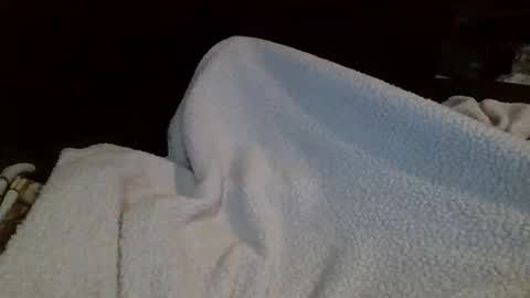 eu369033 online show from 02/25/26, 08:07