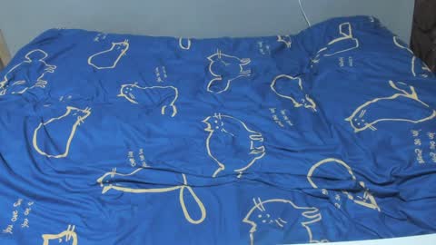 Eva online show from 02/07/25, 02:04