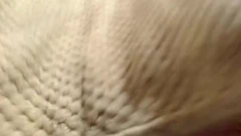 Snapshot of evahootxx chatting on 12/14/24, 07:29 EVA  online show from 12/14/24, 07:29