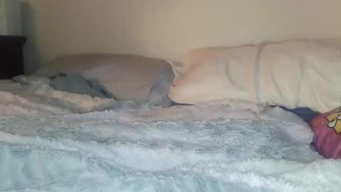 evangeline69xxx online show from 02/20/26, 06:26