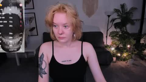      online show from 04/19/26, 06:02