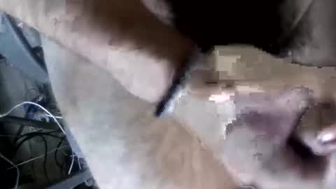 eveline_figeroa3 online show from 06/26/26, 01:21
