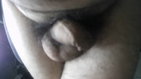 eveline_figeroa3 online show from 08/08/26, 09:22