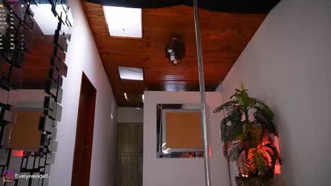 evelyn evelyn online show from 02/17/26, 03:51