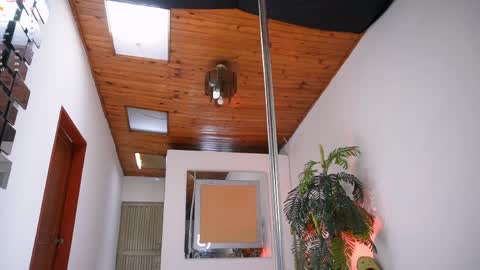 evelyn evelyn online show from 04/20/26, 04:54