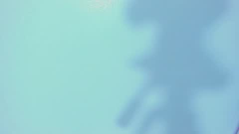    online show from 03/04/26, 12:22