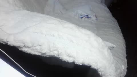 everlasthu online show from 02/09/25, 01:44