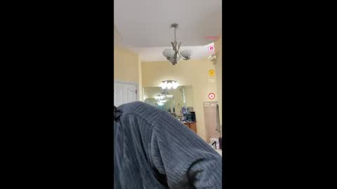Aly online show from 04/07/26, 07:36