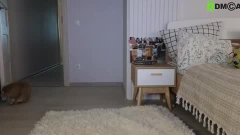 evi_woow online show from 02/22/25, 05:13