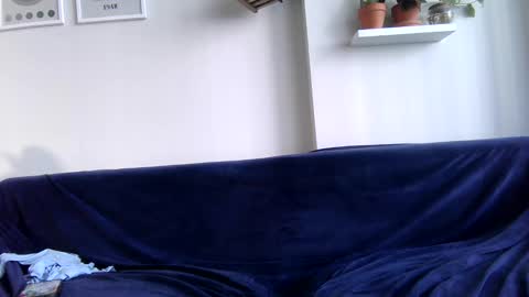 Snapshot of evillers1 chatting on 02/02/25, 08:41 Badblondebunny online show from 02/02/25, 08:41