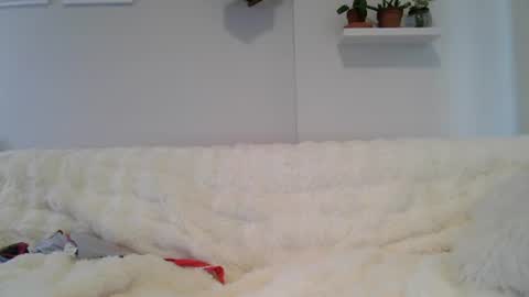 Snapshot of evillers1 chatting on 07/09/26, 11:42 Badblondebunny online show from 07/09/26, 11:42
