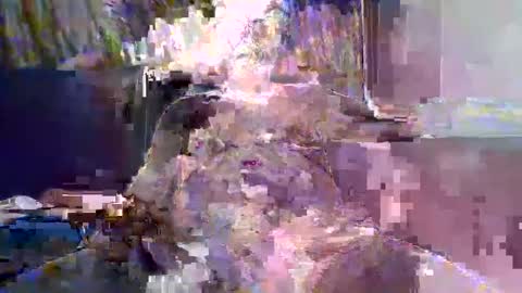 Naaktloper online show from 02/10/26, 04:22