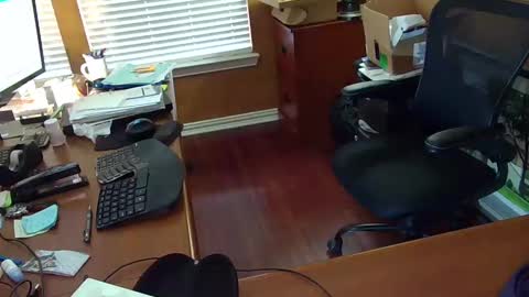 exhibitman69_ldb online show from 02/14/25, 10:04