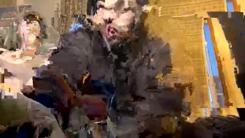 Snapshot of exoticnights chatting on 10/08/25, 11:30 exoticnights online show from 10/08/25, 11:30