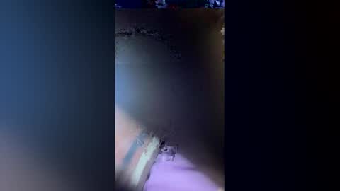 exotico202720 online show from 05/31/26, 03:26