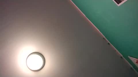 experttreecompany online show from 02/16/26, 08:43