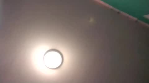 experttreecompany online show from 02/17/26, 09:54