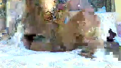 explicitly_certified online show from 03/03/25, 07:49