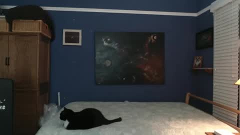 Tommy Rose online show from 12/26/24, 04:53