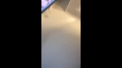 eyelyke2kream online show from 09/08/25, 07:13