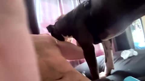 MichazaXO online show from 10/10/25, 04:28